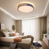 EDISLIVE Ceiling Light Dimmable 19inch Modern Minimalist LED Round Shaped