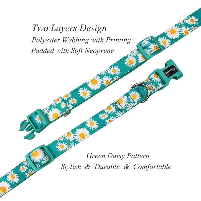 Olahibi Basic Dog Collar, Polyester Webbing Padded with Soft Neoprene,