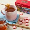Celestial Seasonings 25 Count Pure Peppermint Tea Leaves Caffeine Free