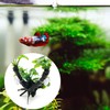 SAVITA 20 Pcs Aquarium Suction Cups Fish Tank Suction Hooks