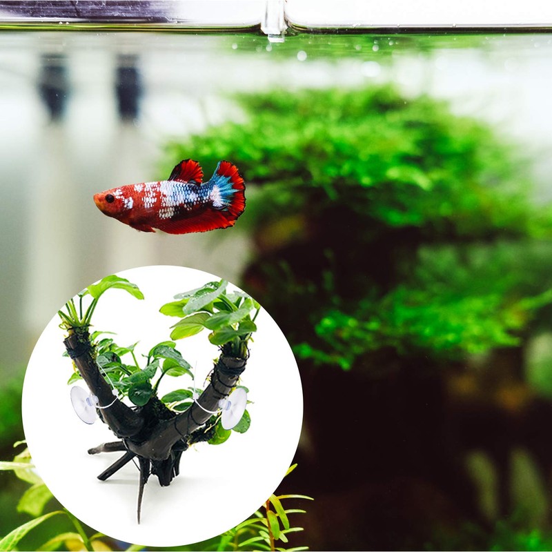 SAVITA 20 Pcs Aquarium Suction Cups Fish Tank Suction Hooks