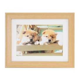 FUJICOLOR 407567 Wood Frame YM-9 Cabinet, 0.6 gal (2 L)