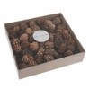 100 Bulk Box 3-5 cm Natural Pine Cones in Clear