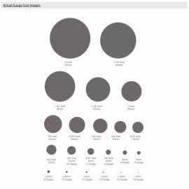 LionGothic Wholesale 100PCS 16G Captive Bead Rings Surgical Steel for Lobe Rook Nose Lip