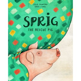 Sprig the Rescue Pig