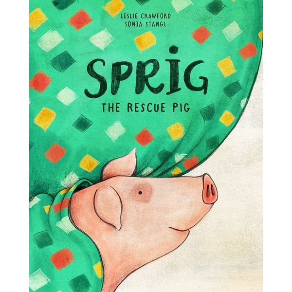 Sprig the Rescue Pig