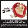 Rawlings Baseball Adult Training Hard Ball GAMER TRAINING [For Training]