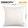 GEEORY Christmas Throw Pillow Covers 20 x 20 Inch Set