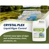 Crystal Plex - Lake and Pond Algaecide Treatment - Liquid