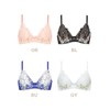 Wing/Wacoal 2820 Wing Lesiage PB2820 Brass, Plump Chest Makeup, Gently