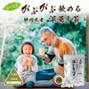 Arahataen Tea Tea Pack Green Tea Tea Bag Deep Steamed