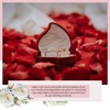Flyboy Naturals Valentine's Red Rose Petals -15 Cups of Preserved