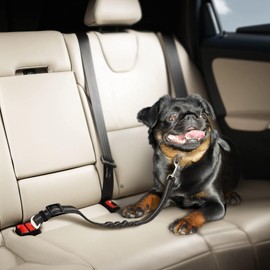 Removable Dog Seat Belt Harness for Car