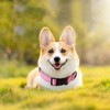 Reflective Dog Collar Breathable Pet Collar Adjustable Nylon Collars Multicolor
