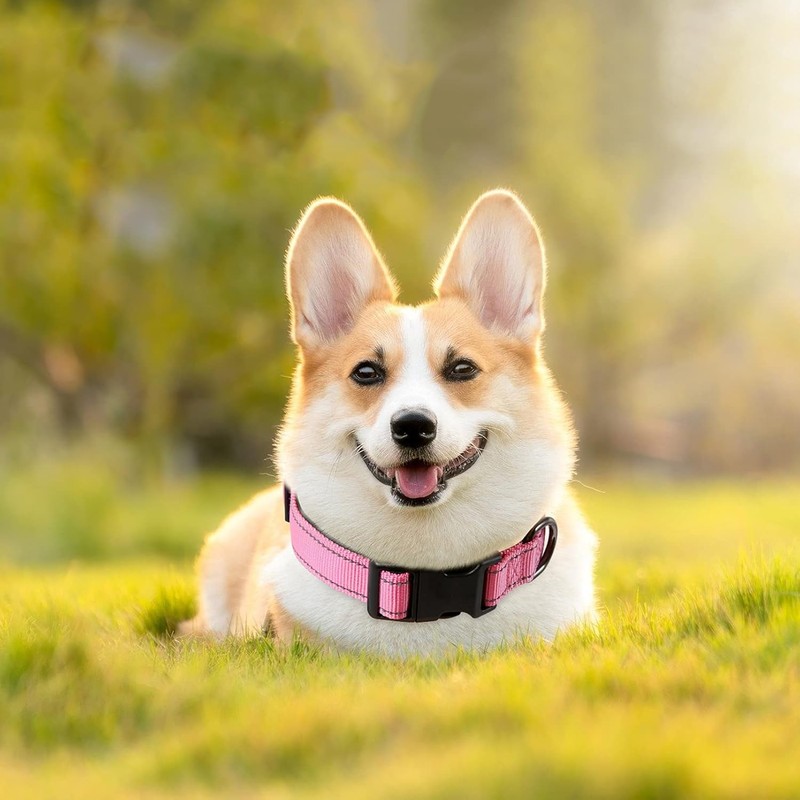 Reflective Dog Collar Breathable Pet Collar Adjustable Nylon Collars Multicolor