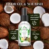 Herbal Essences Treatment Bio: Renew Hair Oil Blend Coconut &