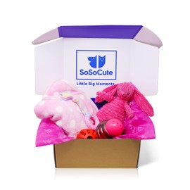 SoSoCute Pink Dog Gift Box - Puppy Chew Toy Set of 5 - Care Package with Dog Blanket, Squeaky Plush, Rubber Puppy Teether, Teething Ball, and Treat Ball for Small and Medium Dogs
