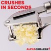 Garlic Press Stainless Steel - Professional Garlic Mincer and Crusher