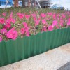 Ieron Lawn Edging Border,Flexible Plastic Landscaping Plastic Border Edging Roll,Lawn
