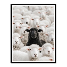 TracyArt Sheep Decor, Black Sheep Among White Sheep - Posters for Room Aesthetic, Unframed 13" x 17"