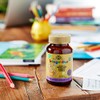 Solgar Kangavites Bouncing Berry Complete Multivitamin and Mineral Formula Chewable