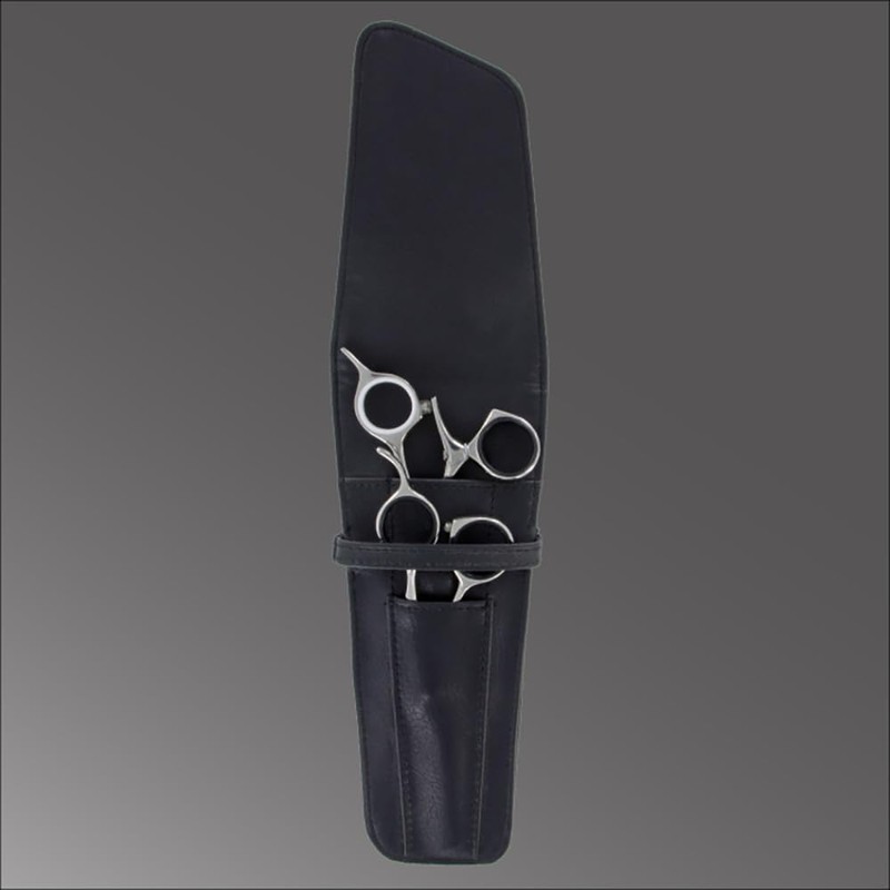 Sensei Shears 2 Shear Case