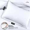 LYMA Bedding Pillow Cases 2 Pack, Ultra Soft Breathable Housewife