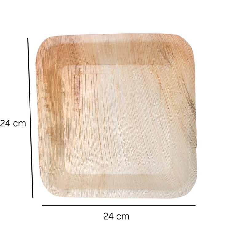 DeinPack 25 Palm Leaf Plates Square 24 x 24 x