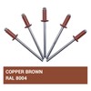 Pack of 100 Painted Blind Rivets 4.0 x 10 mm,