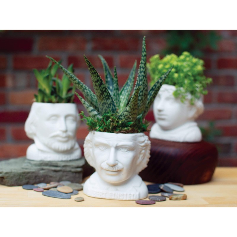 The Unemployed Philosophers Guild Albert Einstein Bust Ceramic Planter