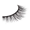 iEnvy Natural Eyelashes Lightweight False Lashes Multiangle and Volume 3D