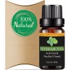 Alluem Aceite Esencial De Hierbabuena 100% Natural Y Puro