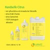 Citrus Hand Soap Care for Hands, Face and Whole Body