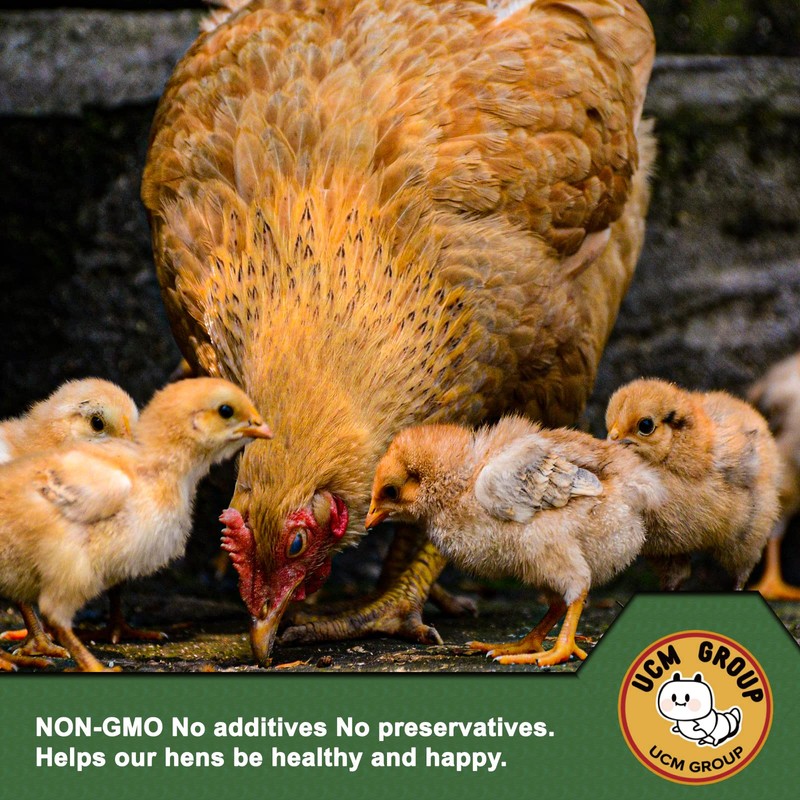 UCM Group 20LB Dried Mealworms for Wild Birds, Chickens, 100%