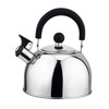 Tea Kettle - Whistling Tea Pot for Stovetop - Stainless