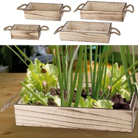 Cepewa Plant Boxes Set of 4 with Inlay | Flamed Wood 4 Sizes | Box for Planting Flowers Herbs