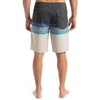 Quiksilver Men's Surfsilk Straight Leg 20 Board Shorts (Pack of