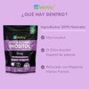 Wellthy – Myo & D-Chiro Inositol en Polvo | 540