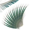 20 Pcs Peacock Feathers, Feathers, Feather, Green Feathers, Feathers for