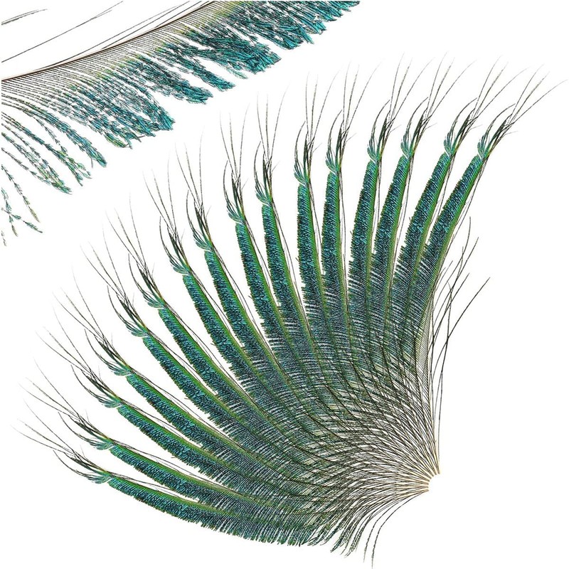 20 Pcs Peacock Feathers, Feathers, Feather, Green Feathers, Feathers for