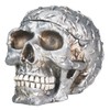 Diamond Plate Skull Container - Collectible Skeleton Figurine Model