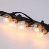 G40 String Light 2 Spare Bulbs Total Power 175W 25FT