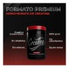 Adictos Al Gym Creatina Suplemento 500g 100serv Sfn