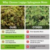 Legigo 3.5 OZ Sphagnum Moss for Reptile- 4 QT Natural