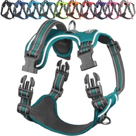 VIVAGLORY Easewalk No Pull Dog Harness, Dog Harness for Training & Walking with Front Clip & Handle, No Pull & Escape Proof for Pet Puppy, XS, Hunter Teal