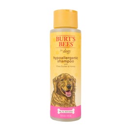 Burt's Bees for Dogs Hypoallergenic Dog Shampoo, Shea Butter & Honey Shampoo for Dogs, Dog Grooming Supplies, Puppy Shampoo, Dog Wash, Dog Bathing Supplies, Honey Pet Shampoo, Dog Soap