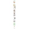 Skinbolic Mandarin Olive Oil 100ml, 1 piece / 스킨볼릭 만다린