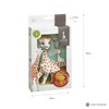 Sophie the Giraffe x GCF (Giraffe Conservation Foundation) Gift Set