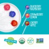 YumEarth Organic Duo Pops, Lollipops with Fruit Chew Centers -