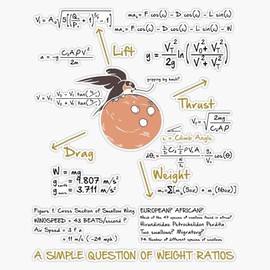 A Simple question of Weight ratios Art Design Happy Apparel Essential Inspiration Joy Mood Bumper Sticker Window Water Bottle Decal 5"